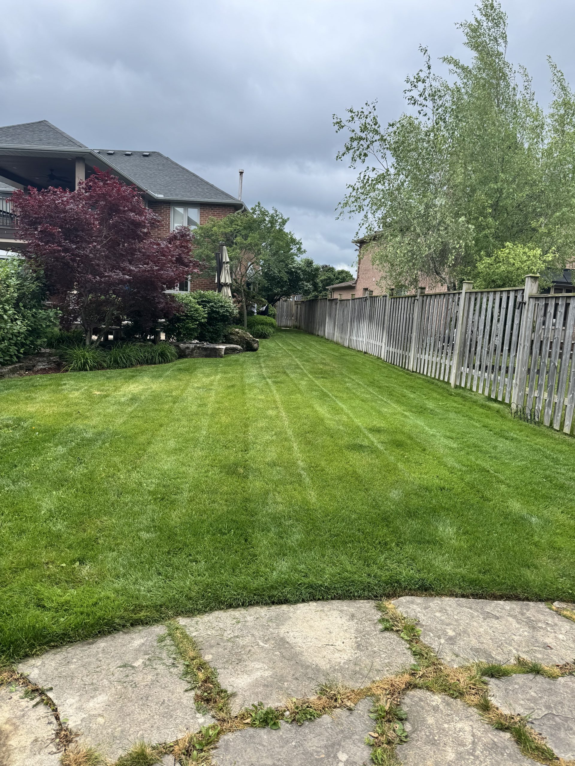 Professional lawn care services