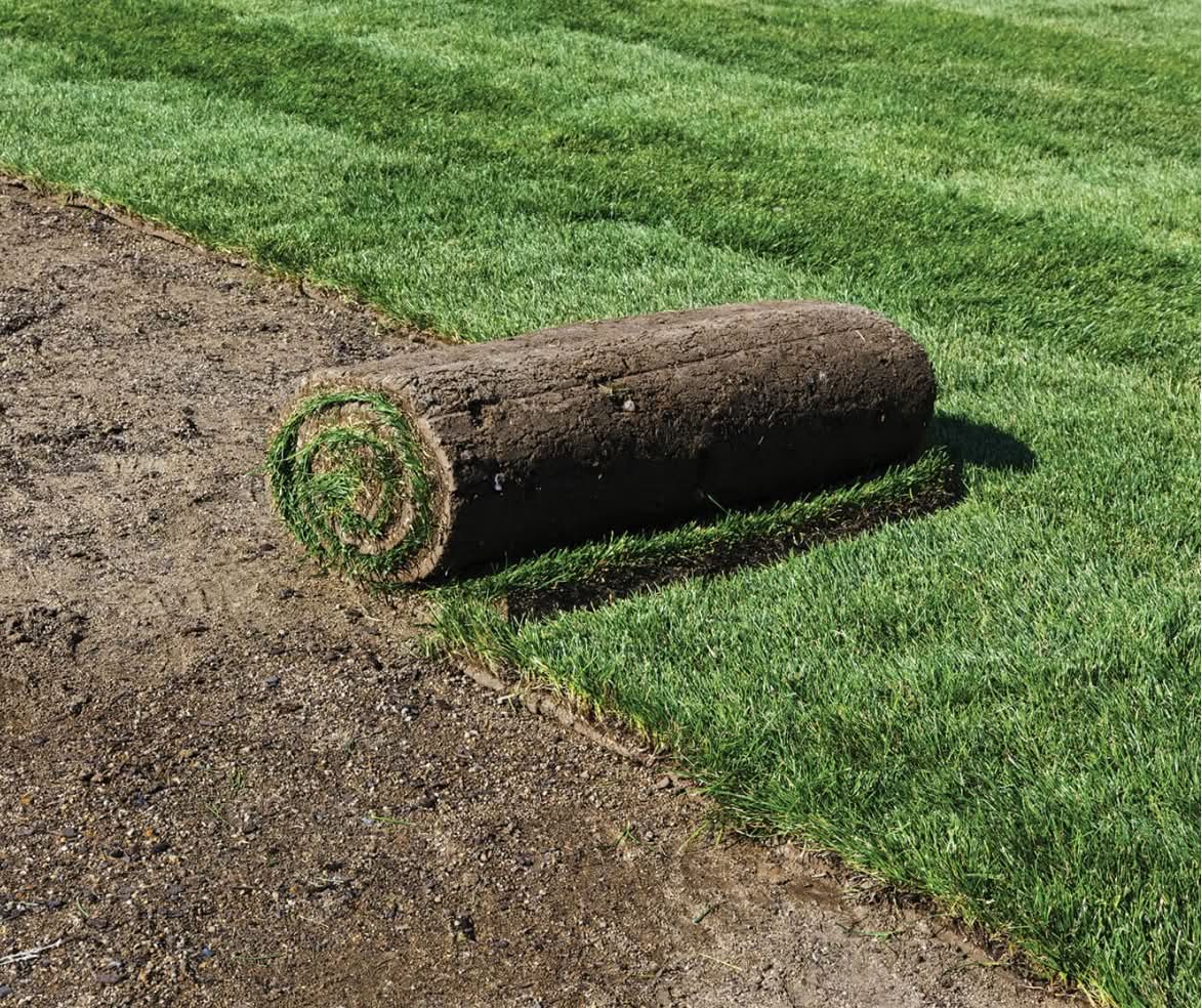 SOD installation